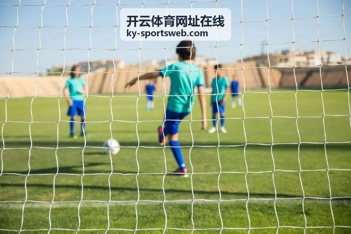 开云体育安全入口